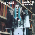 The Cribs Interview 2010