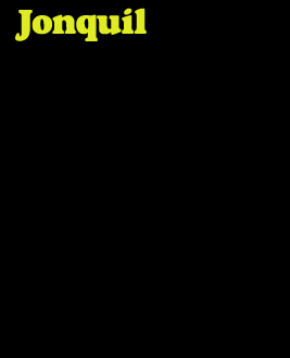 jonquil_bio