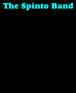 thespintoband_bio