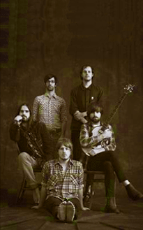 Treetop Flyers - Official Website