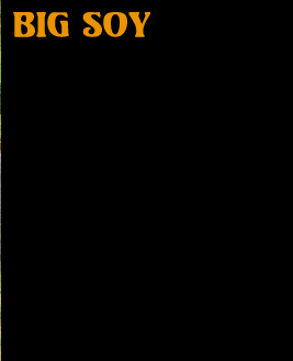 bigsoy_bio